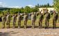 Nelnk rumunskej armdy na oficilnej nvteve Slovenska 